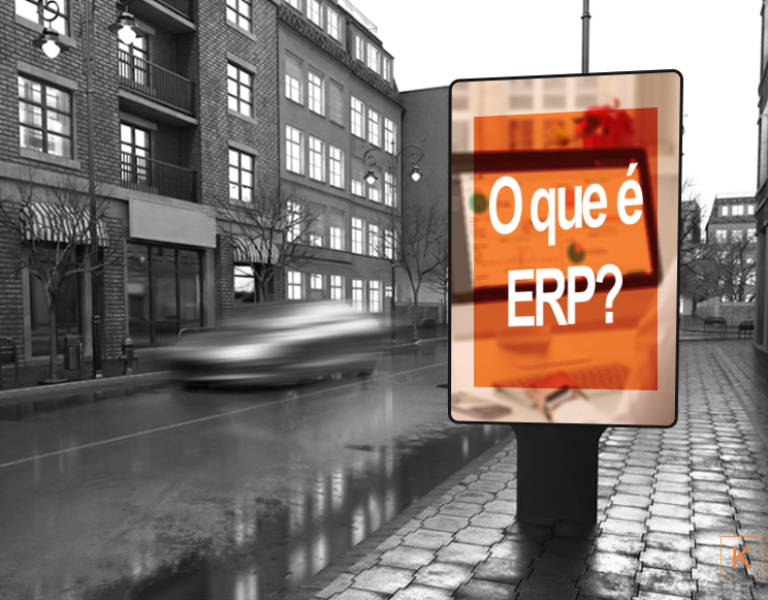 o que e erp 2